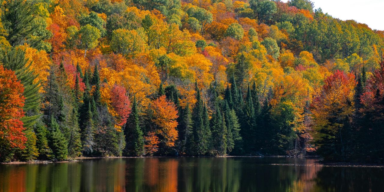 NEW ENGLAND ÉS KANADA ŐSZI VARÁZSA<br />2026. október 11-26.